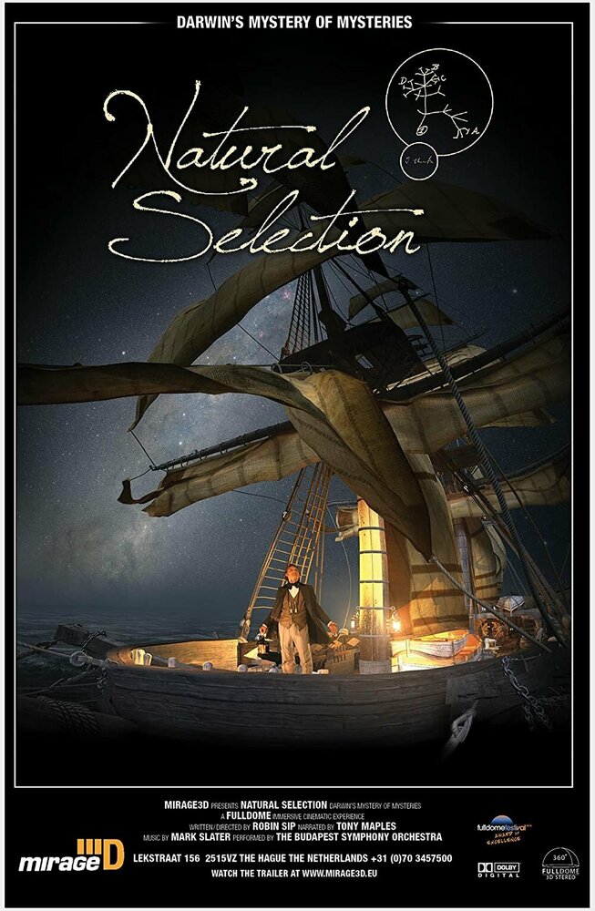 Natural Selection: Darwin's Mystery of Mysteries