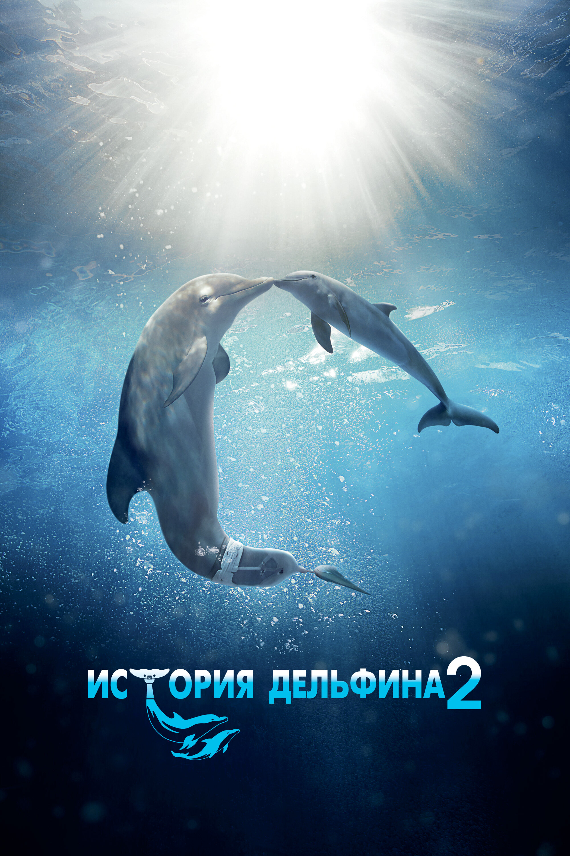 История дельфина 2