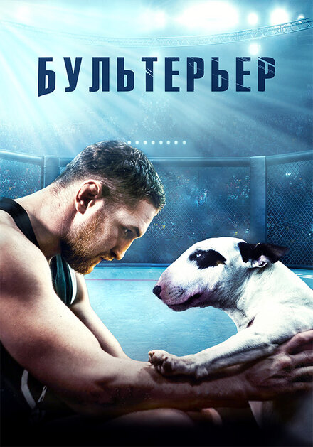 Фильм «Бультерьер»