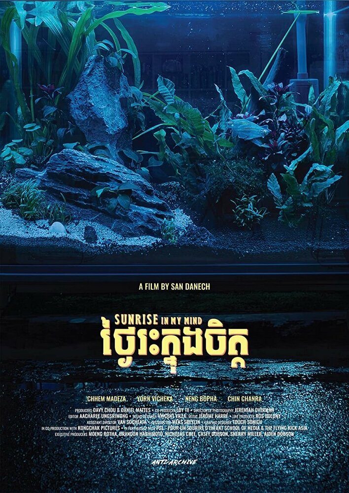 Восход солнца в моих мыслях