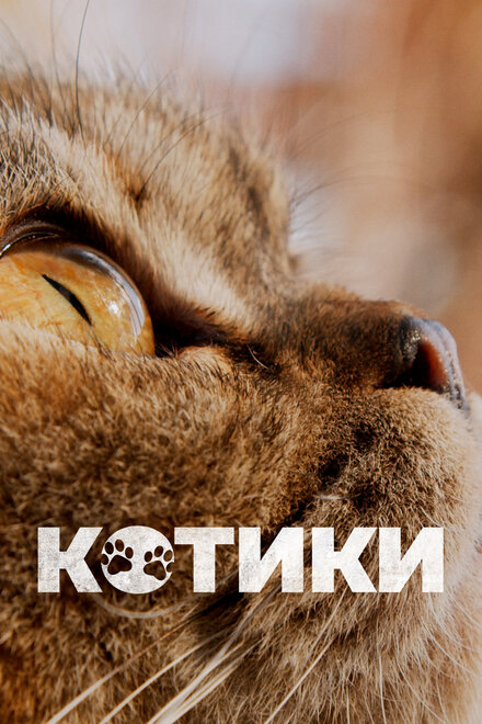 Фильм «Котики»