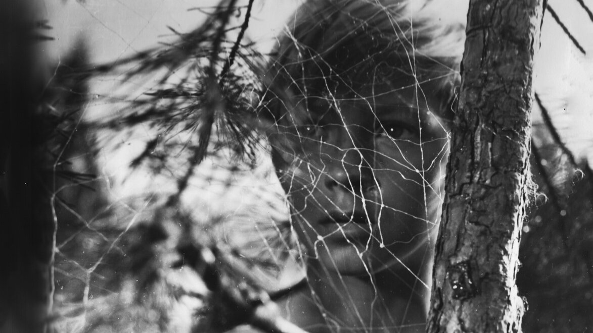 Фоновая картинка к Иваново детство 1962