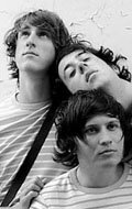 The Wombats